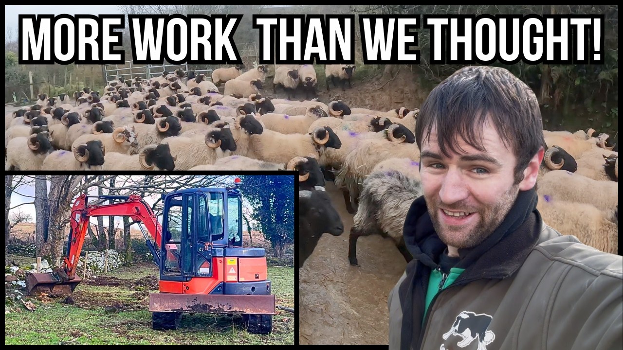 SELLING, SPENDING AND EXPANDING THE FARM!