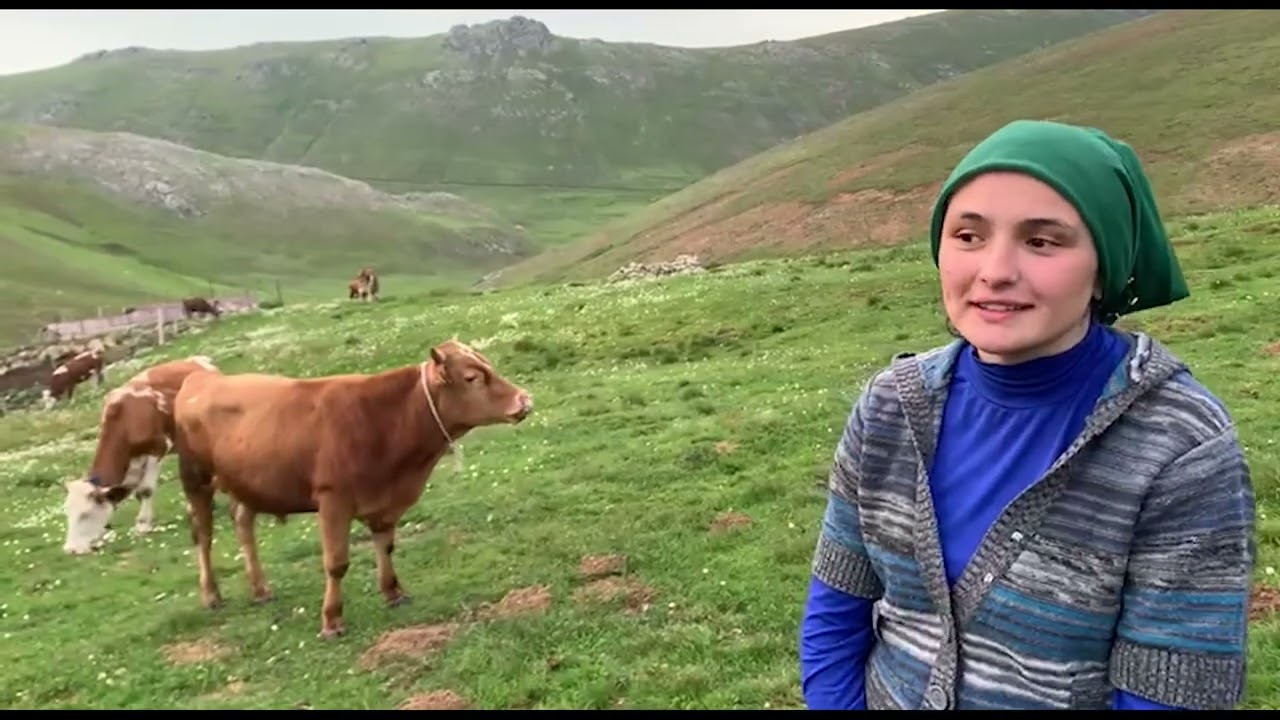Bir laborantın yayla aşkı…Gülşen Gelgül. Kazıkbeli yaylasında