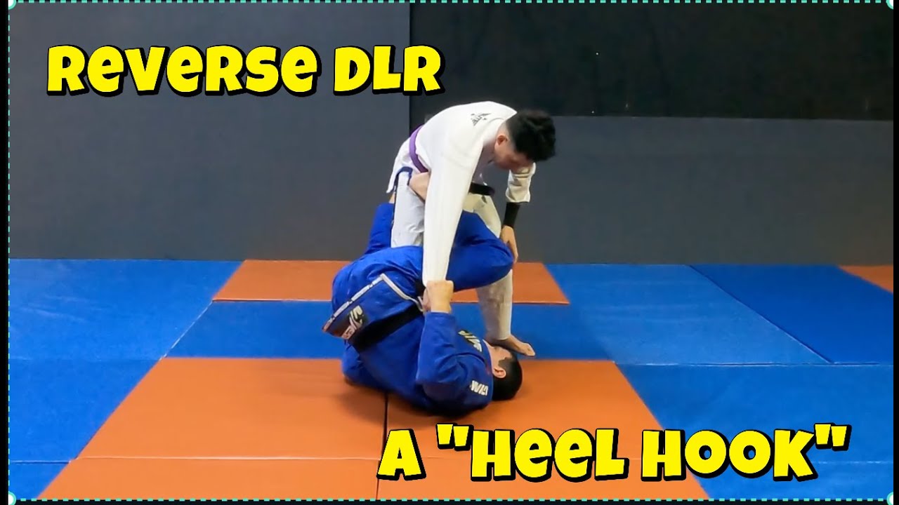 Bjj |  Reverse De La Riva a 