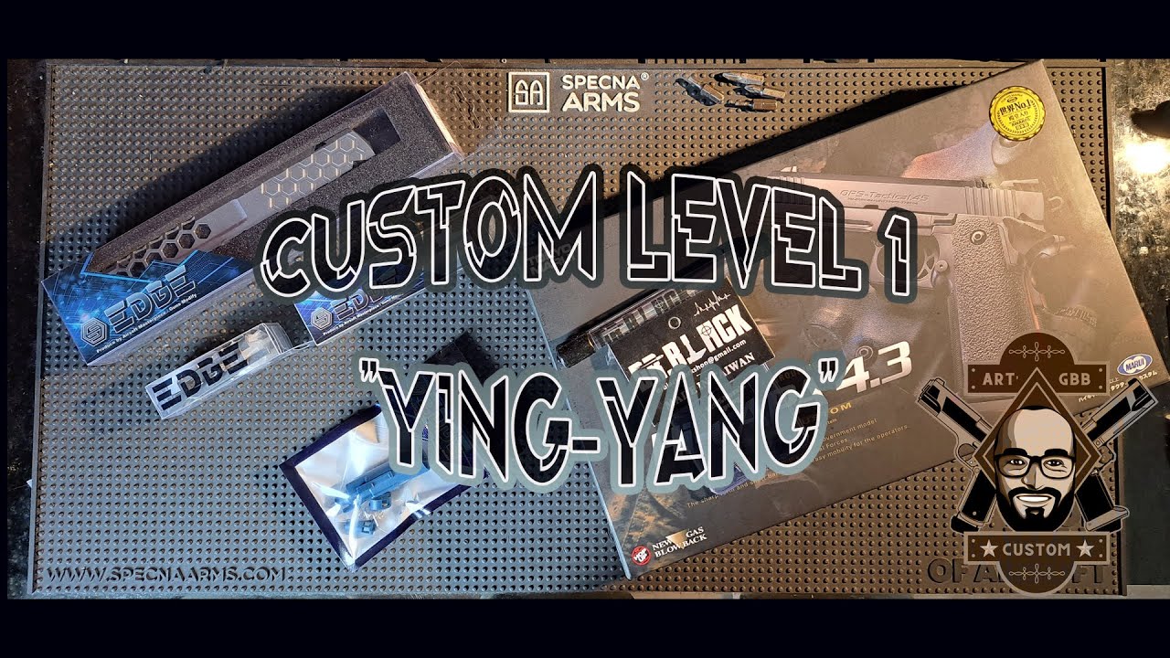 Assemblage d'un custom level 1 dispo sur le shop :  https://artcustomgbb.com/