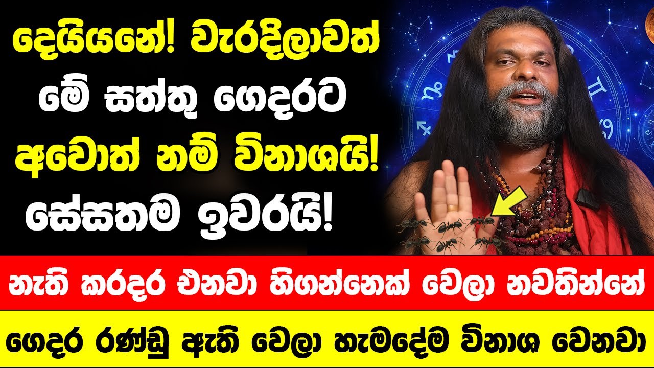 දෙයියනේ! වැරදිලාවත් මේ සත්තු ගෙදරට අවොත් නම් විනාශයි! - නැති කරදර එනවා හිගන්නෙක් වෙලා නවතින්නේ