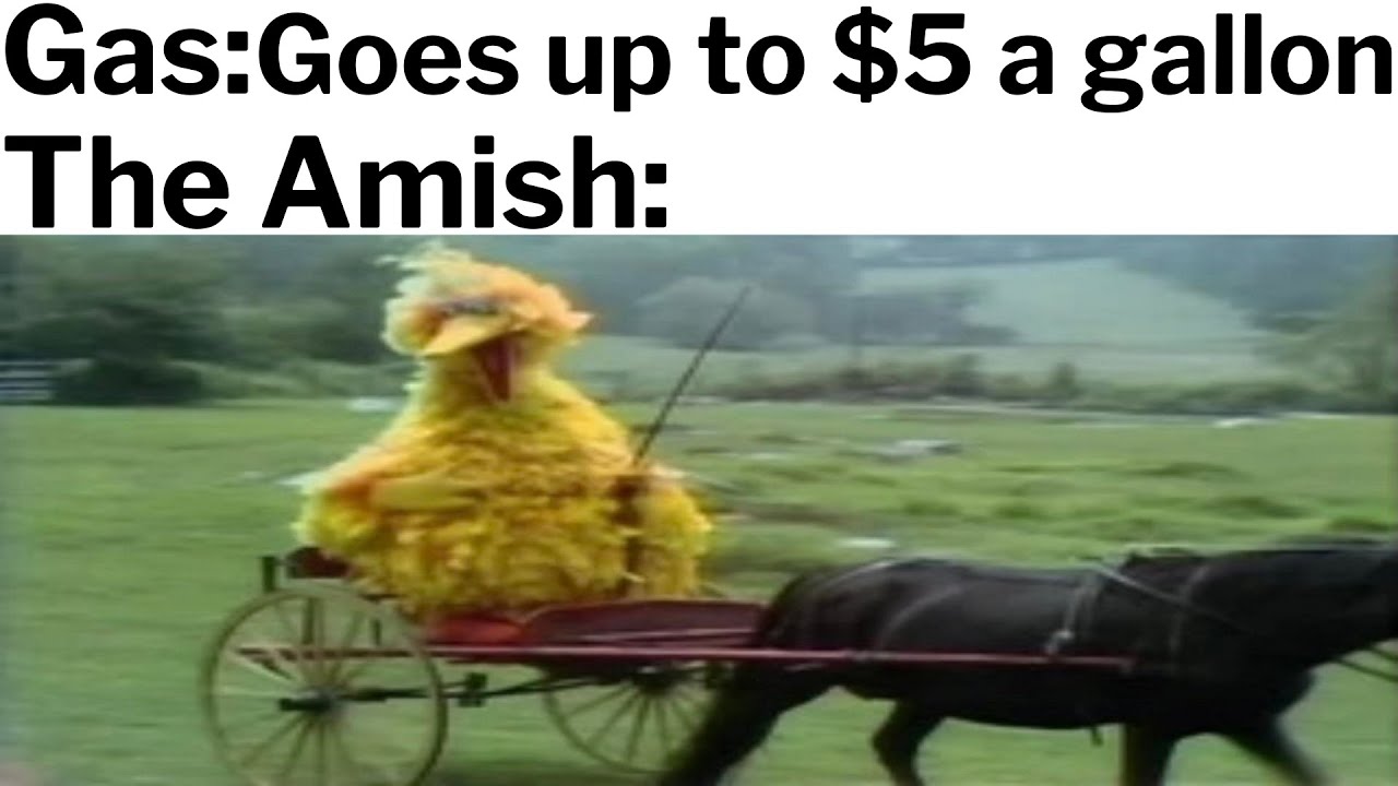 DAILY SAUCY MEMES 581