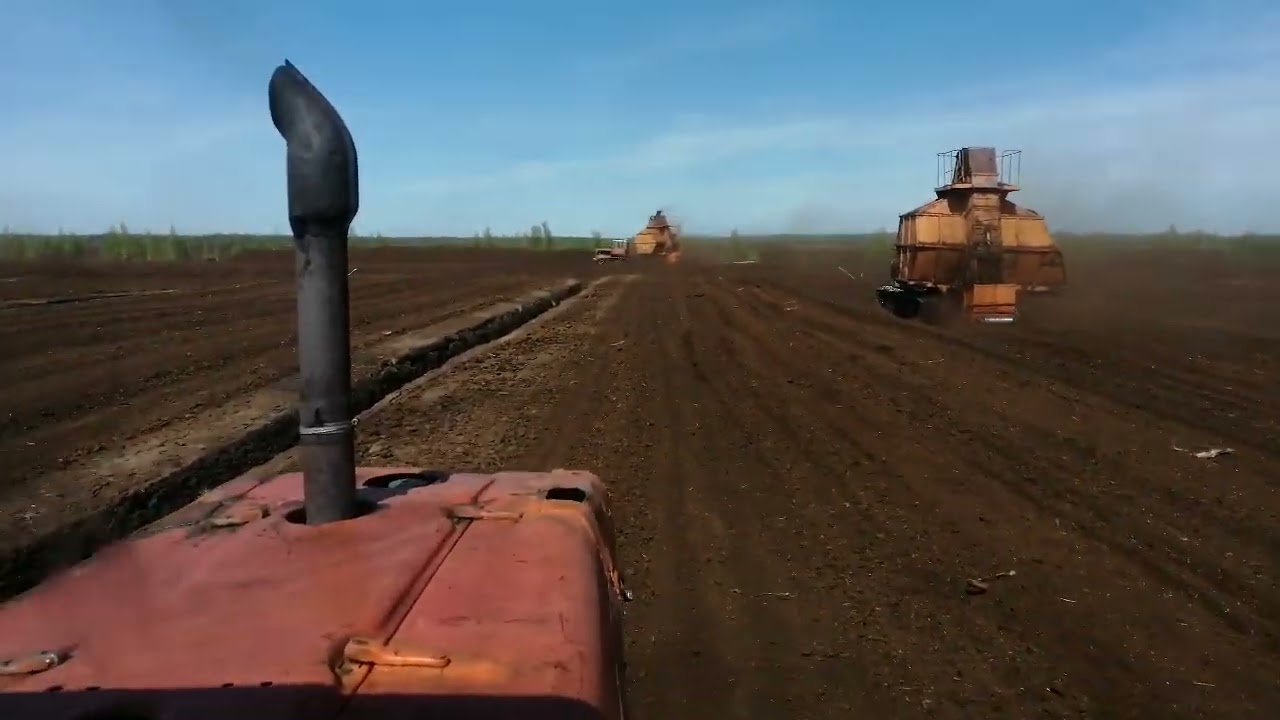 метод уборки торфа, бункерно скреперным.