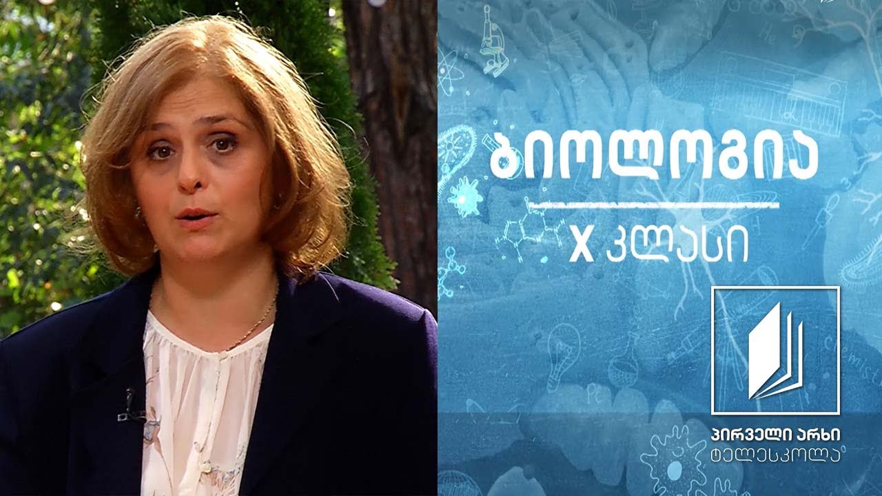 ბიოლოგია X კლასი - ფოტოსინთეზი - პლასტიკური ცვლა #ტელესკოლა