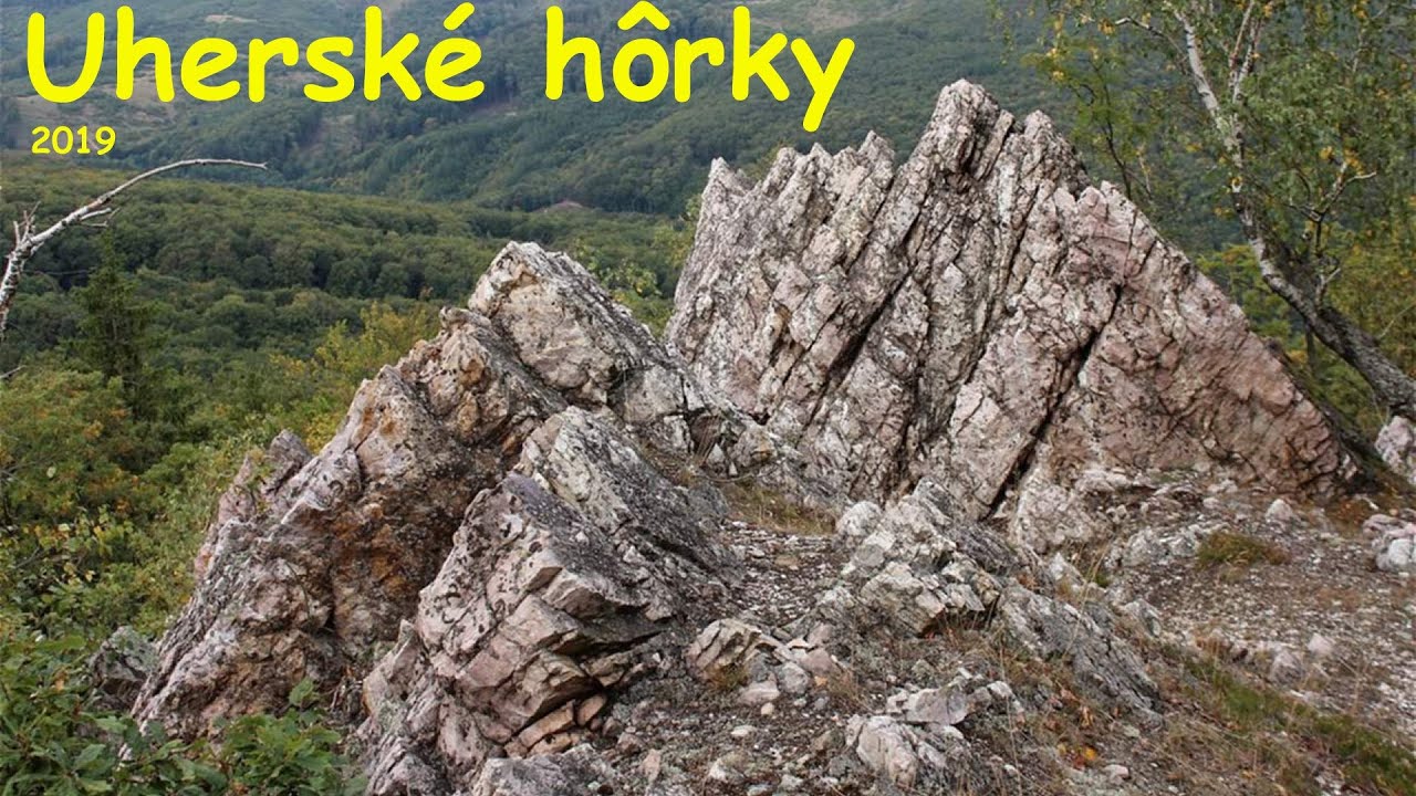 Bludárium - Tribeč (Veľkouherecké hôrky)