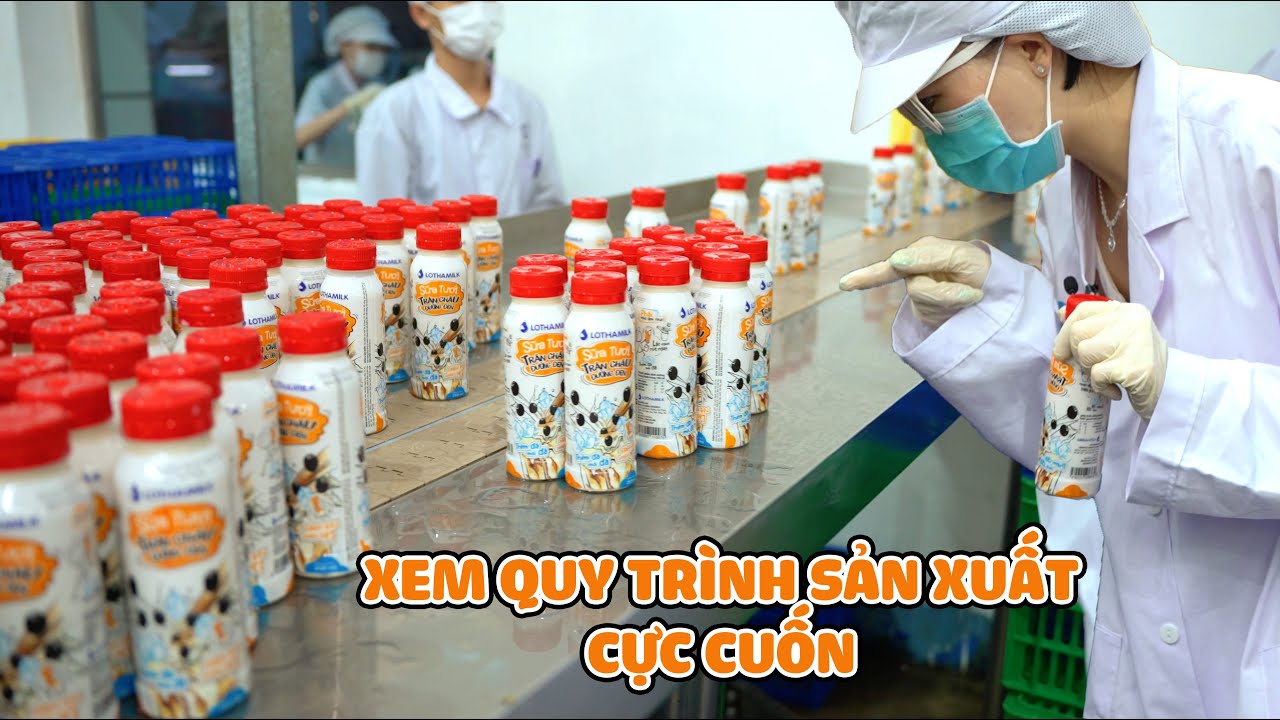 Đột Nhập Nhà Máy Sữa Tươi Trân Châu Đường Đen Lothamilk