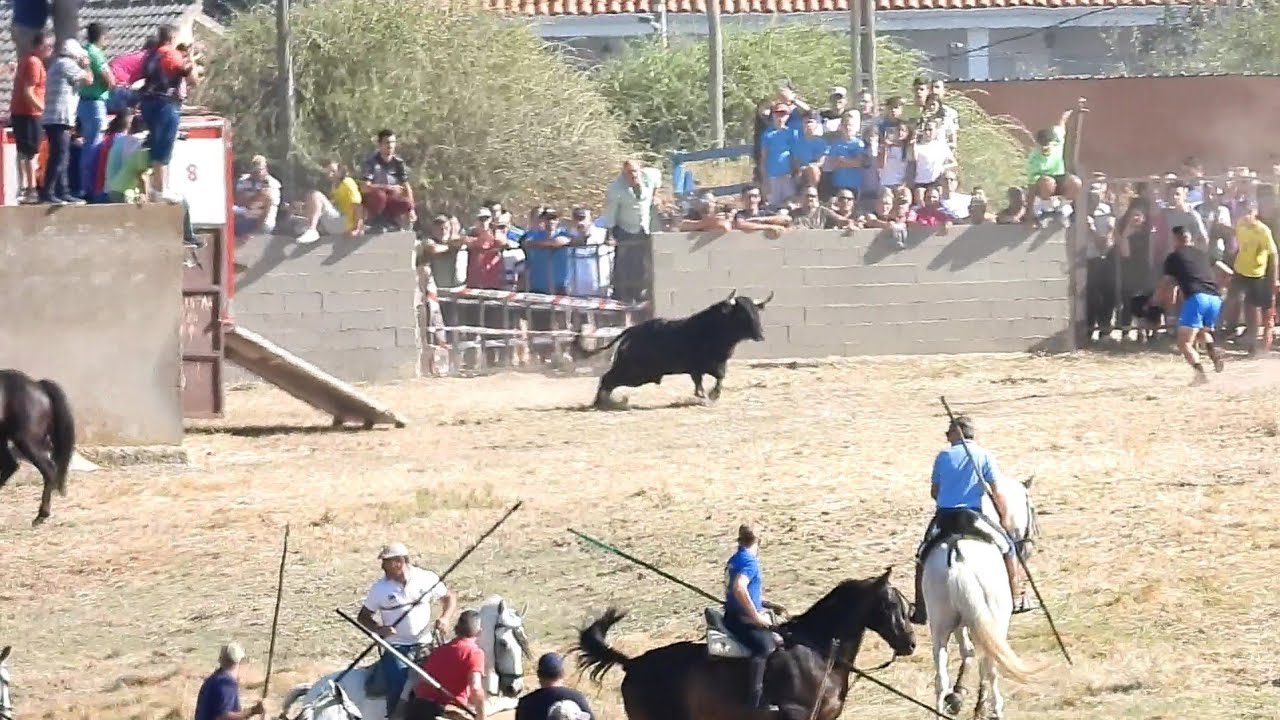1. AS DE LA FIESTA en Argujillo, Nuestra Señora 2024 (por Carlos López Matias...