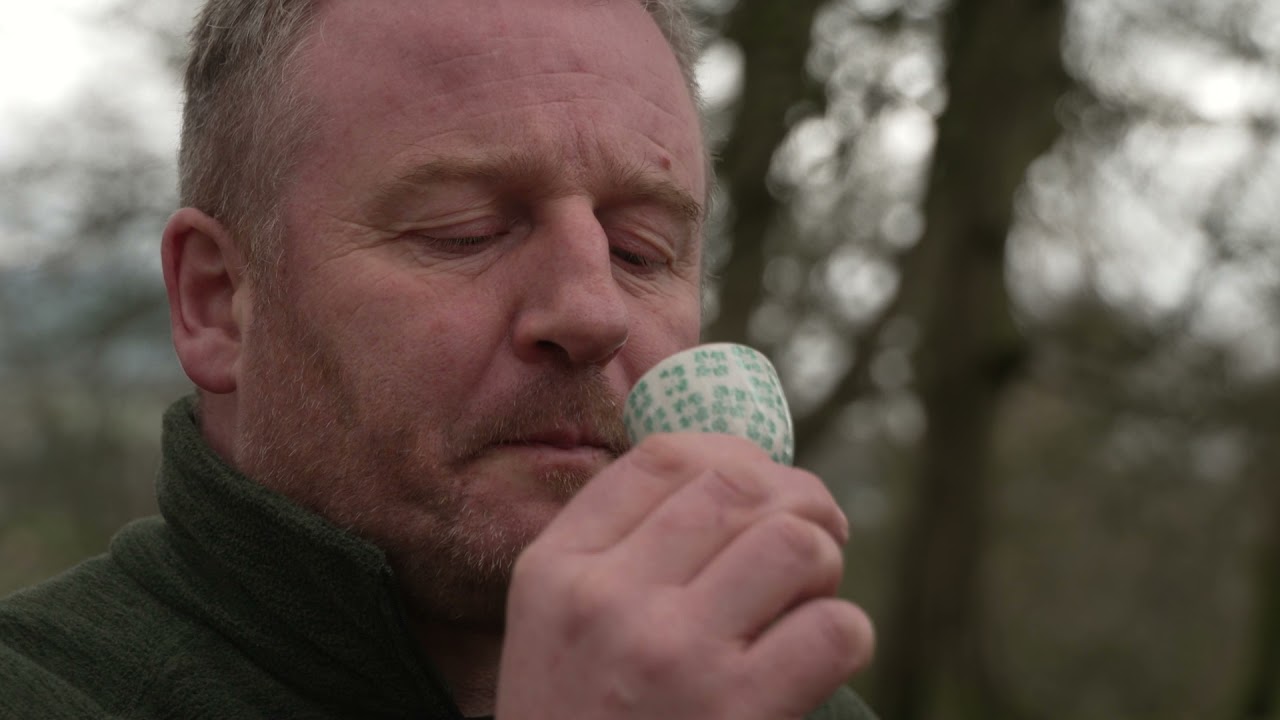 Discover mindfulness with a Forest Bathing experience at Killeavy Castle Estate, Newry,  N. Ireland