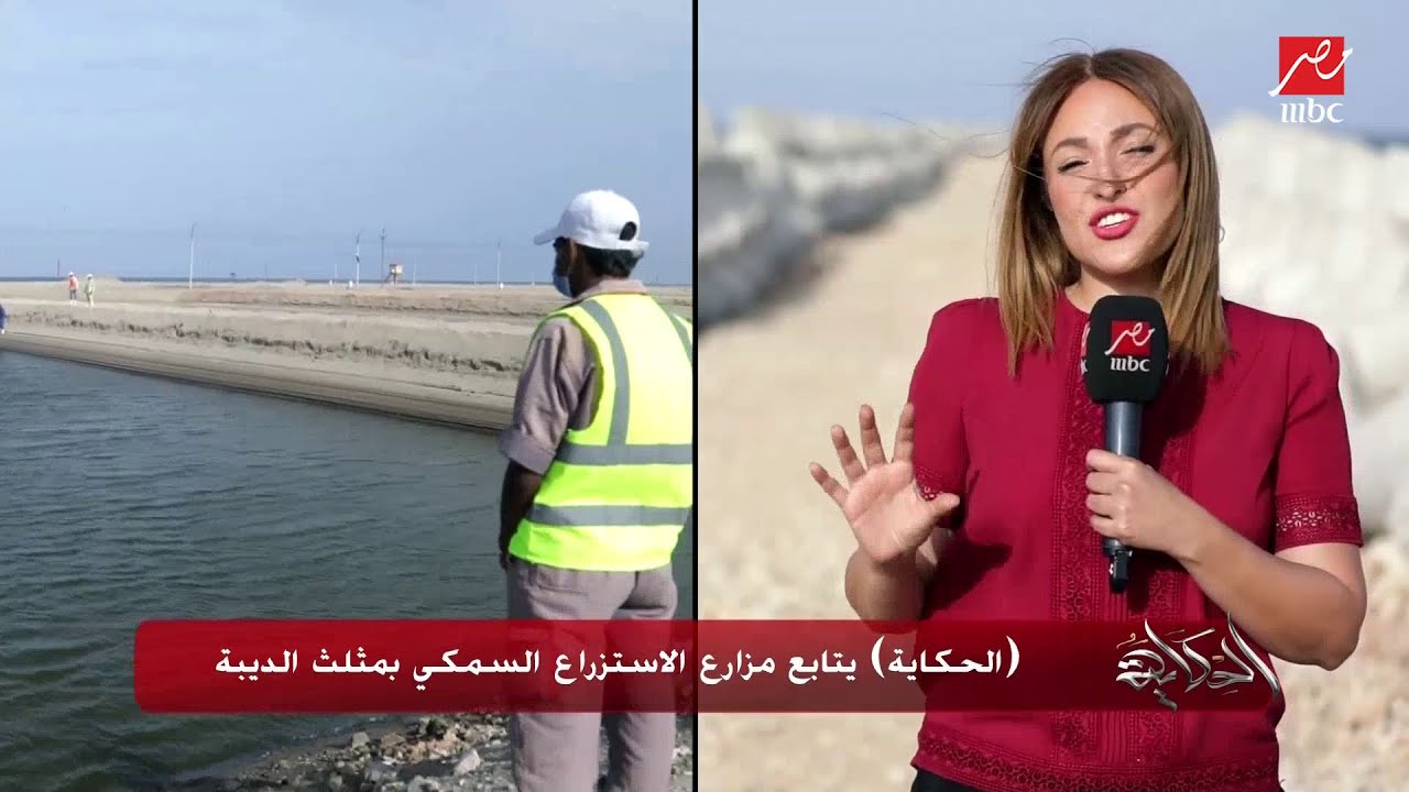 (الحكاية) يتابع مزارع الاستزراع السمكي بمثلث الديبة