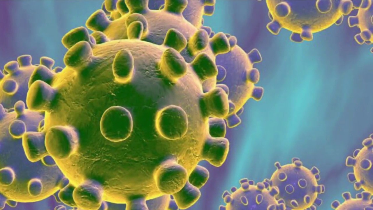 Coronavirus Virus Mutates Under Microscope!