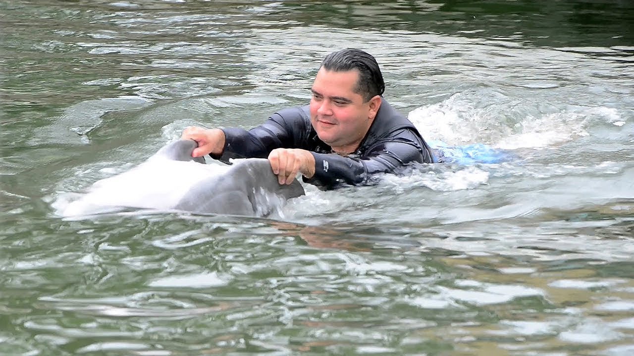 Magic in the Water: Dolphins provide special type of healing for Veterans