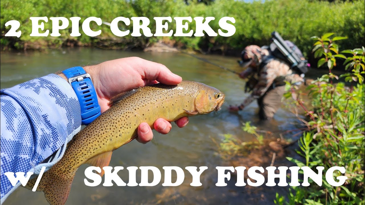 2 EPIC Creeks in Bridger-Teton Nation Forest | Tenkara Fly Fishing