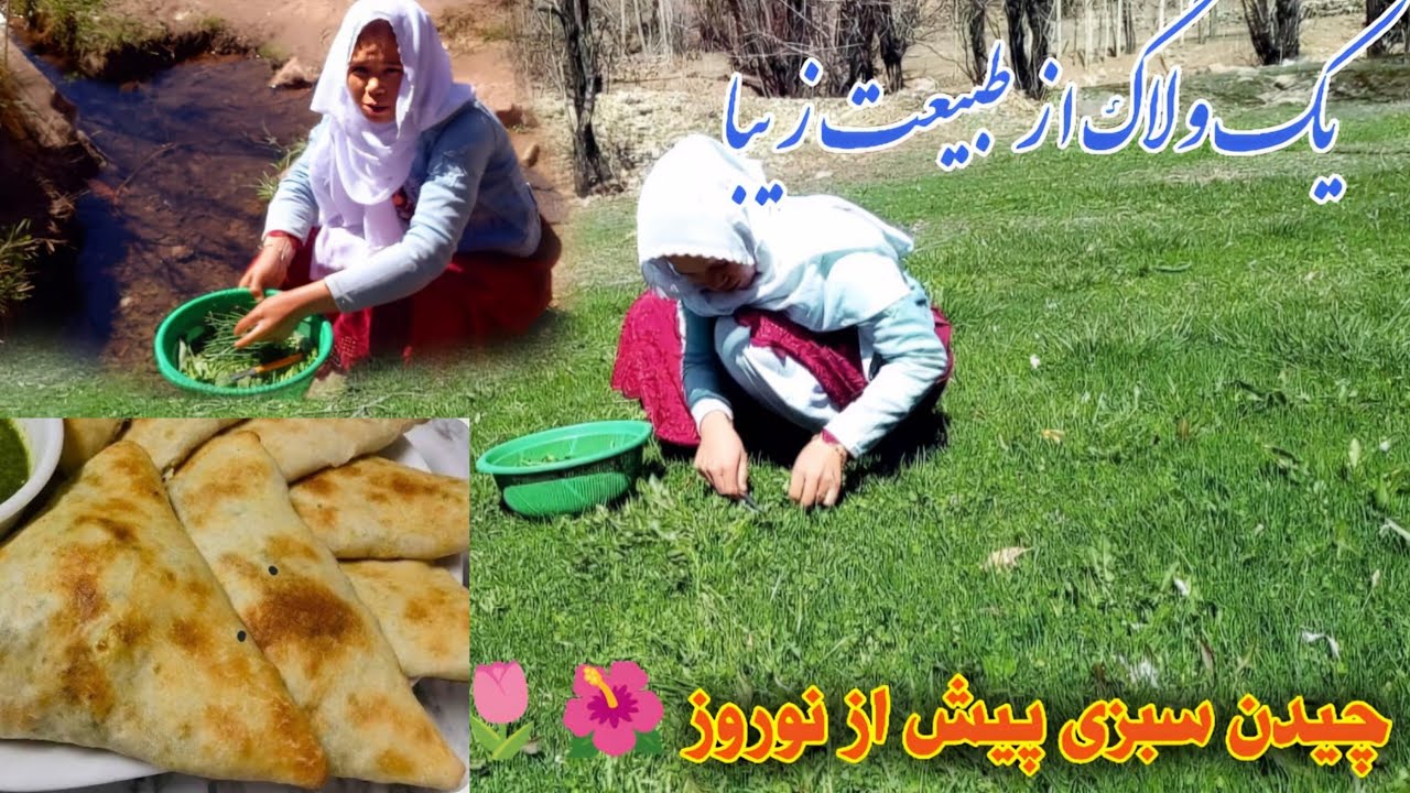 سبزی‌های تازه 🥬از دل طبیعت برای بولانی🌮 خوشمزه😋