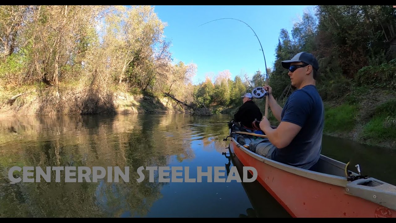 Gbay Trib Frogwater Steelhead