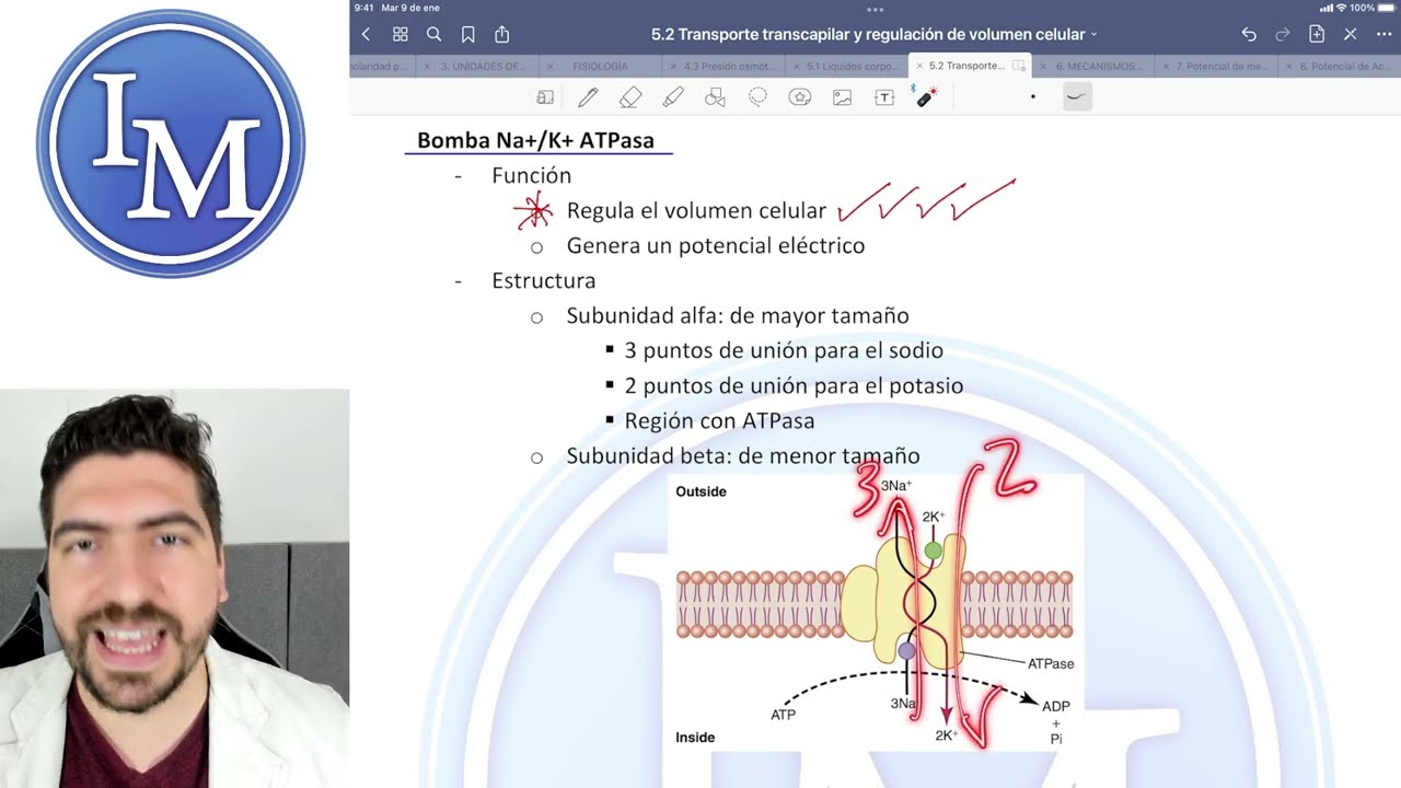 Fisiología clase 5.2.2 | Regulación del Volumen Celular y Edema Celular - Gibbs-Donan