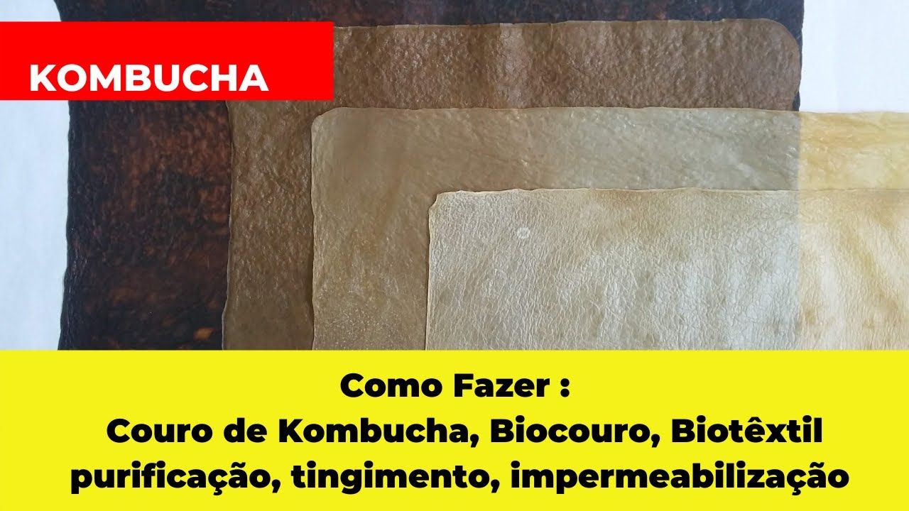 Kombucha: biocouro, como preparar o couro de Kombucha