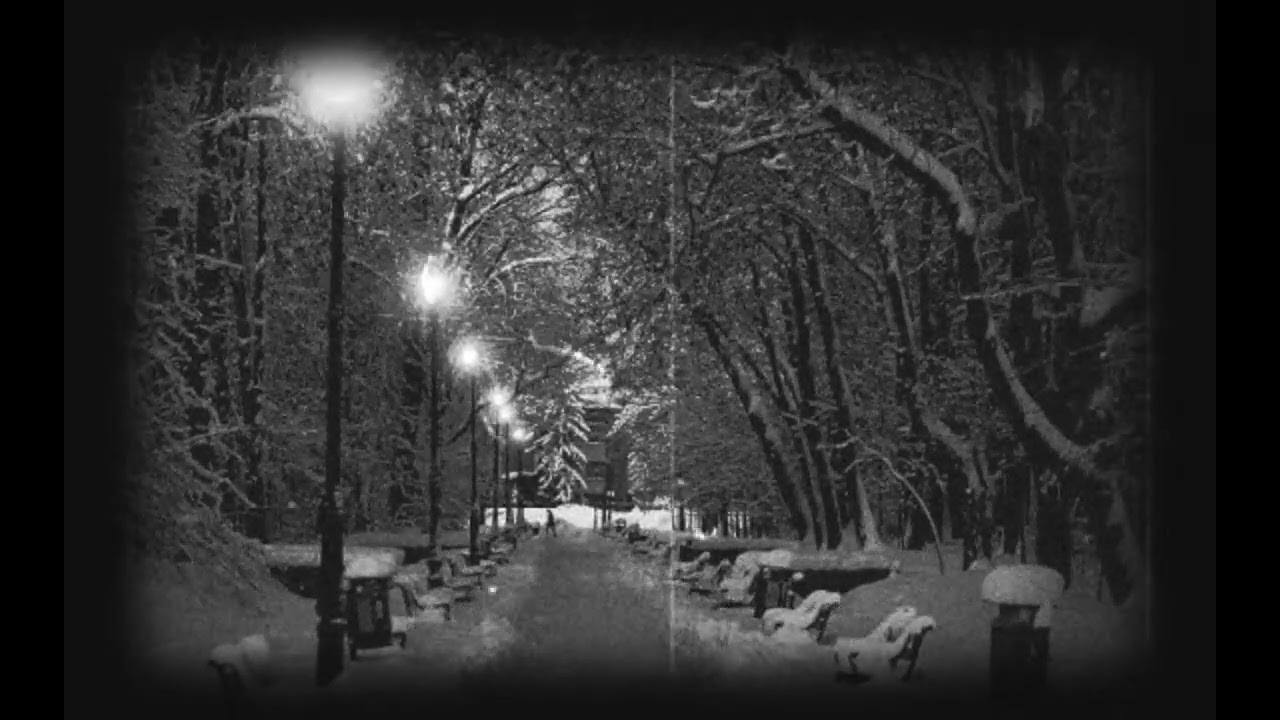 The cold night song 🎶🎵