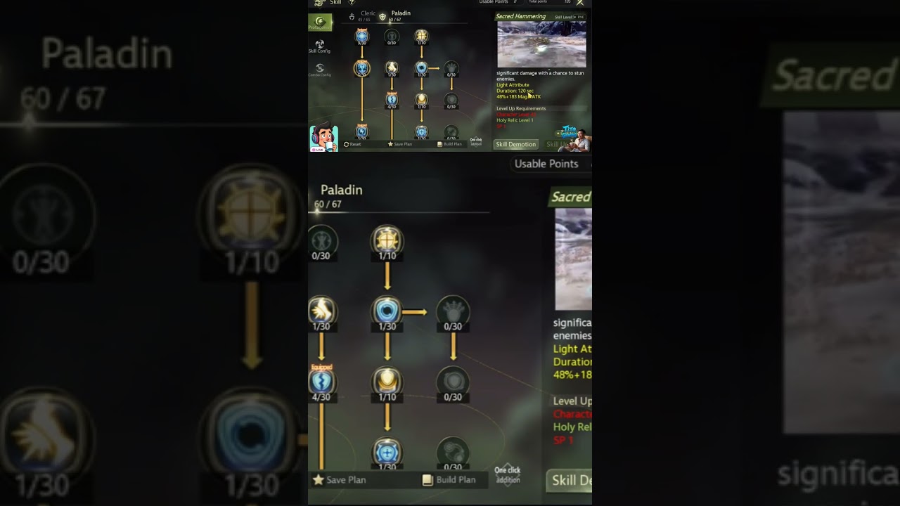 Lvl40 Crusader Build#dragonnest #dnmclassic #dnmc
