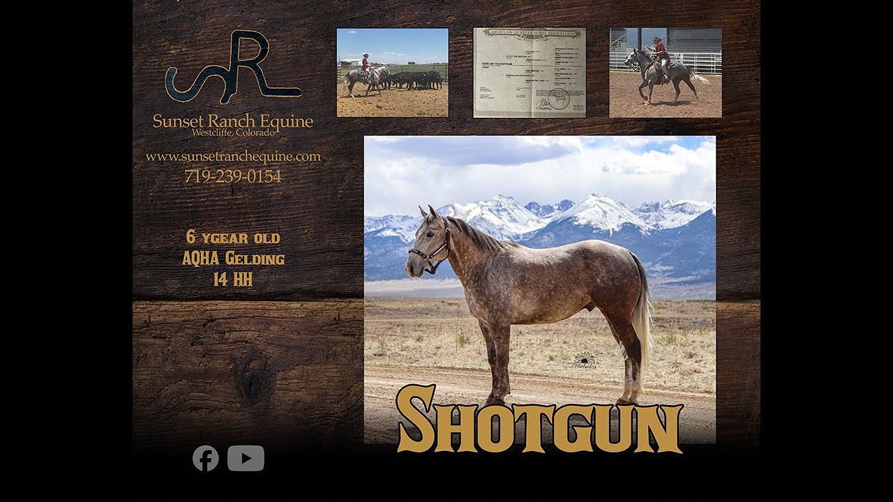 Shotgun