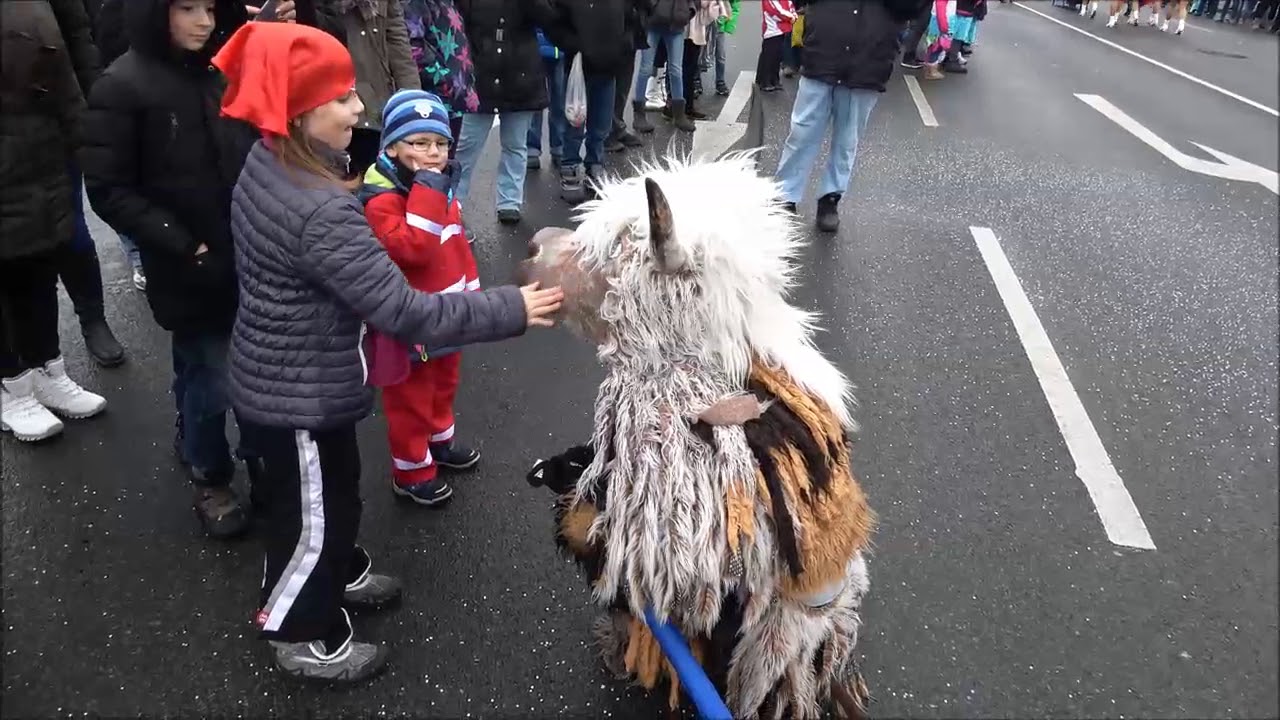16. Karnevalsparade 2018 in Freital