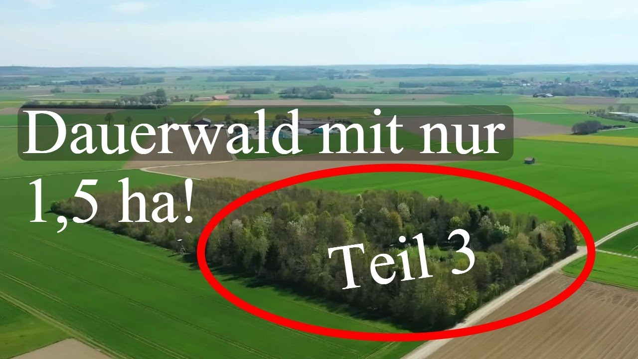 Wie wird mein (kleiner) Wald zum Dauerwald? - Vortrag von Raimund Hofmann