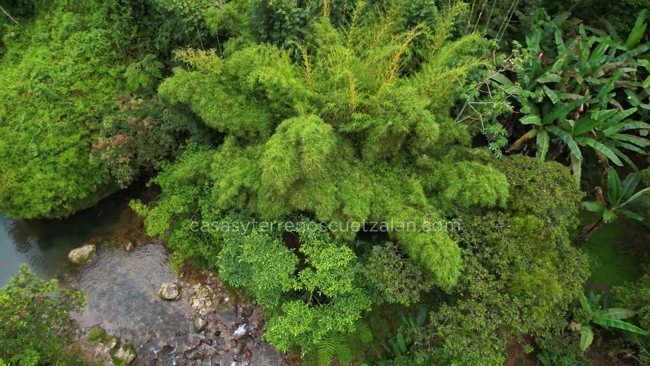 Terreno de 5,770 metros cuadrados a orilla del río la Atepatahua Cuetzalan