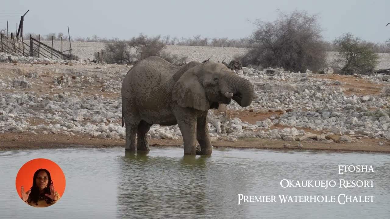 Okaukuejo Resort Premier Waterhole Chalet Etosha Park Namibia