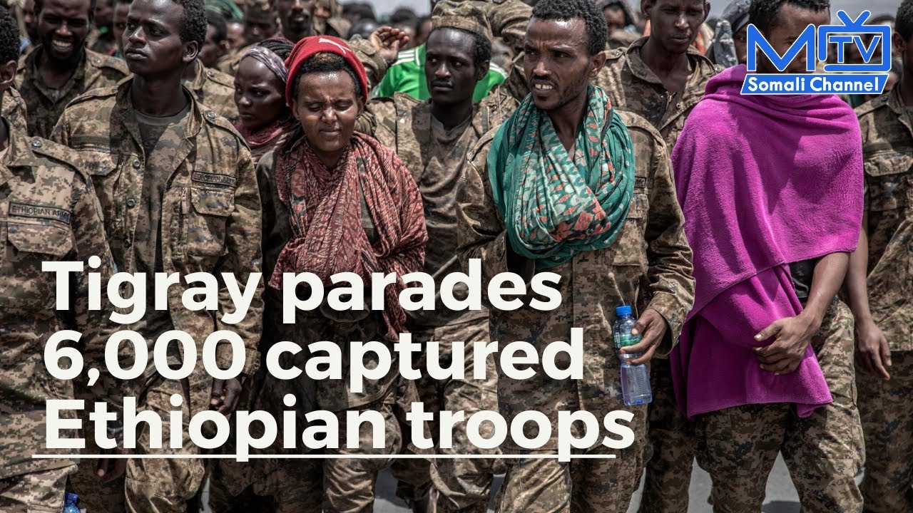 Captured Ethiopian army paraded by Tigray forces