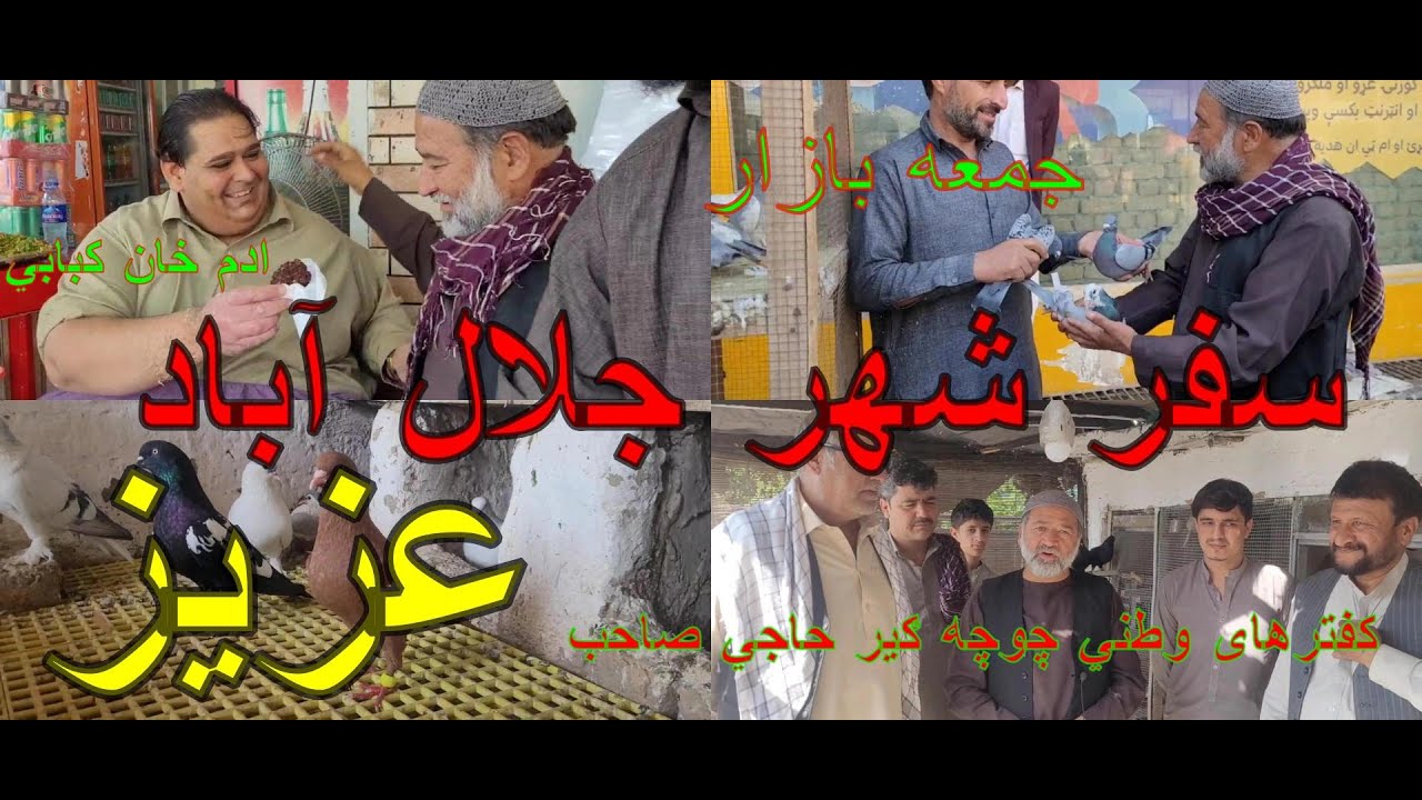 برنامه شهر جلال آباد/ کفترهای حاجی عزیز/ جمعه بازار/ Jalalabad City Pigeons Program