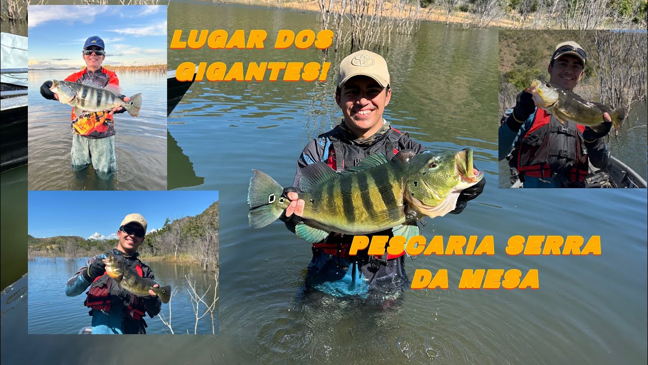 SERRA DA MESA – OS GIGANTES APARECERAM!🎣🔥 Em meio à competição no lago!
