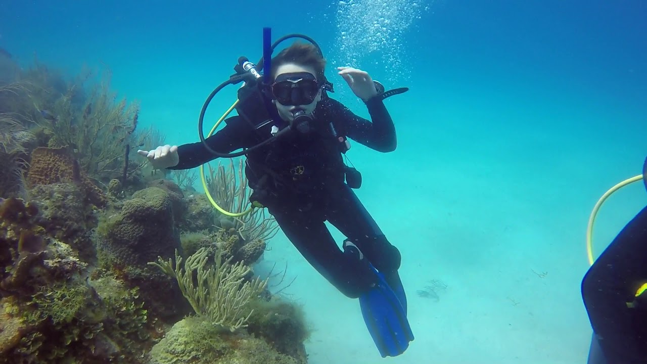 Buceo en Isla Saona