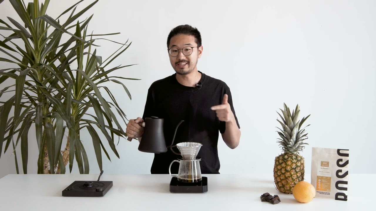 Kalita Wave Pulse Recipe—La Papaya Gold Series Coffee | Rosso Coffee Roasters
