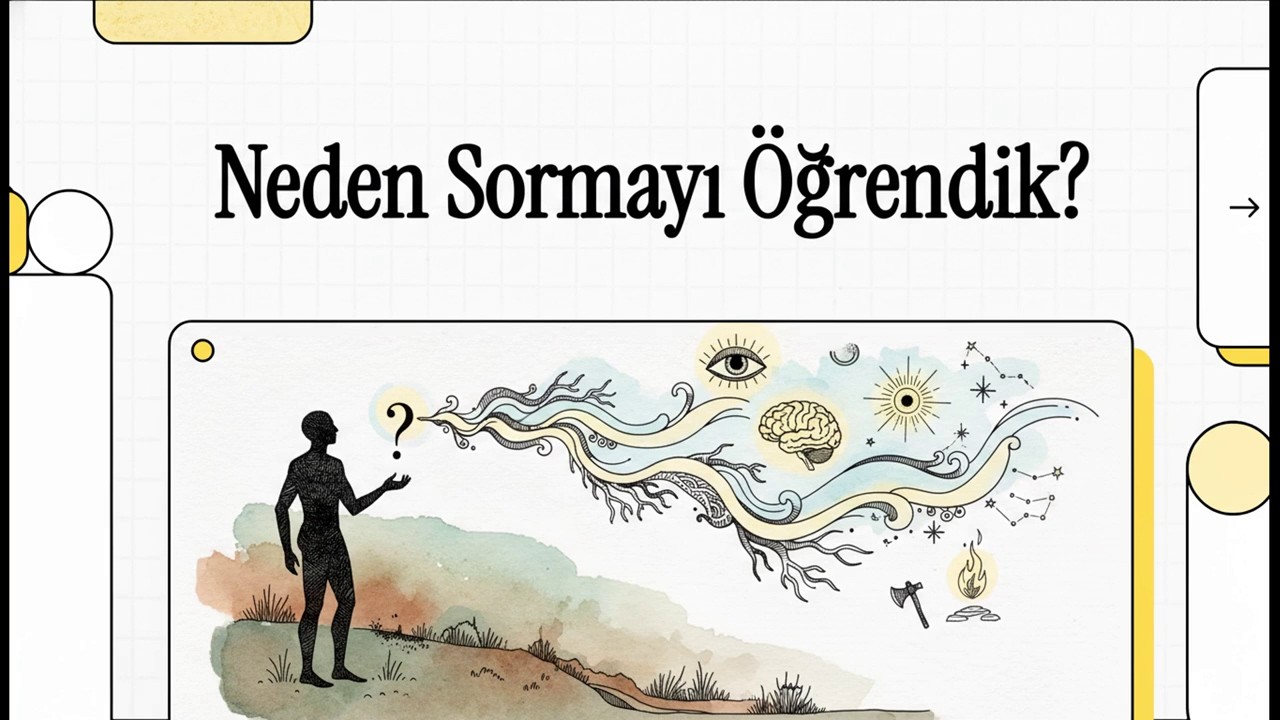 Neden Sormayı Öğrendik?