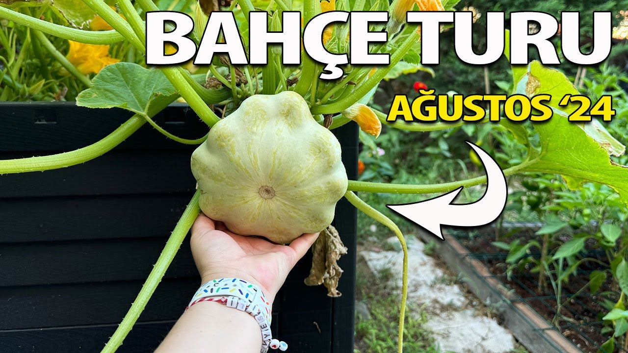 Bahçe Turu Ağustos 2024 | Ev Yeşili Bitki Bakımı Bahçe Vlog