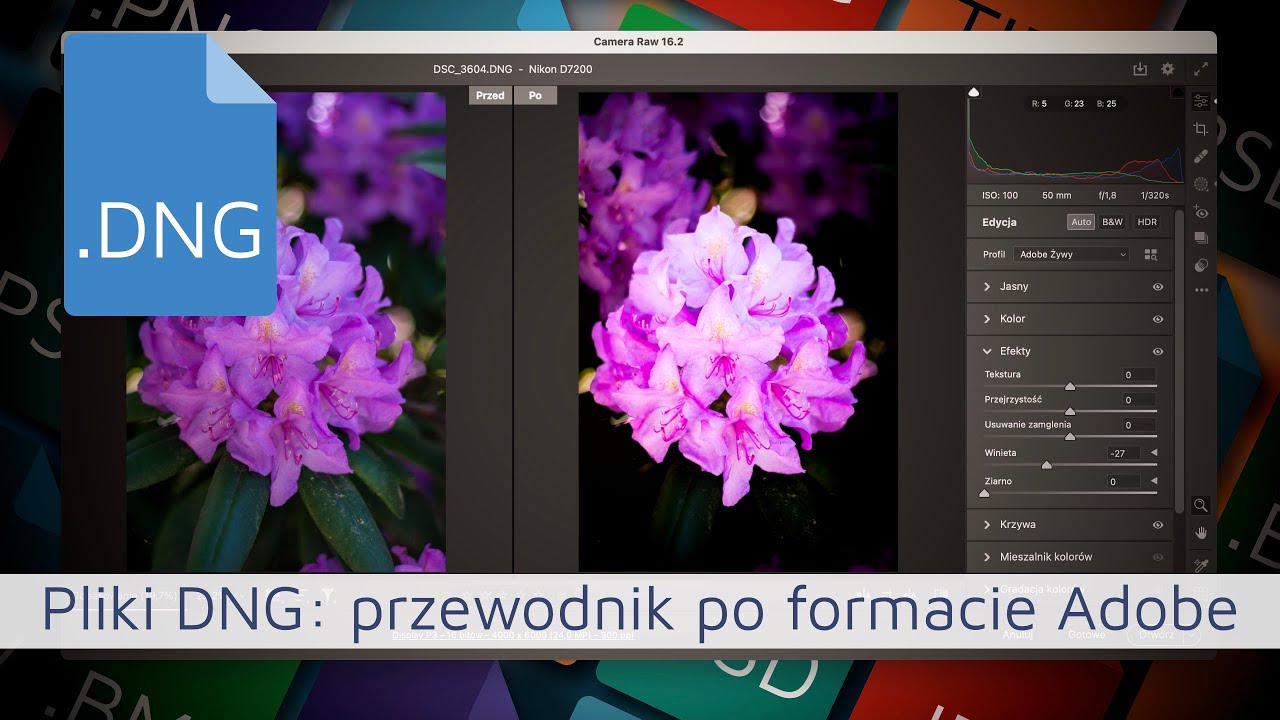 Pliki DNG: Przewodnik po Formacie Adobe