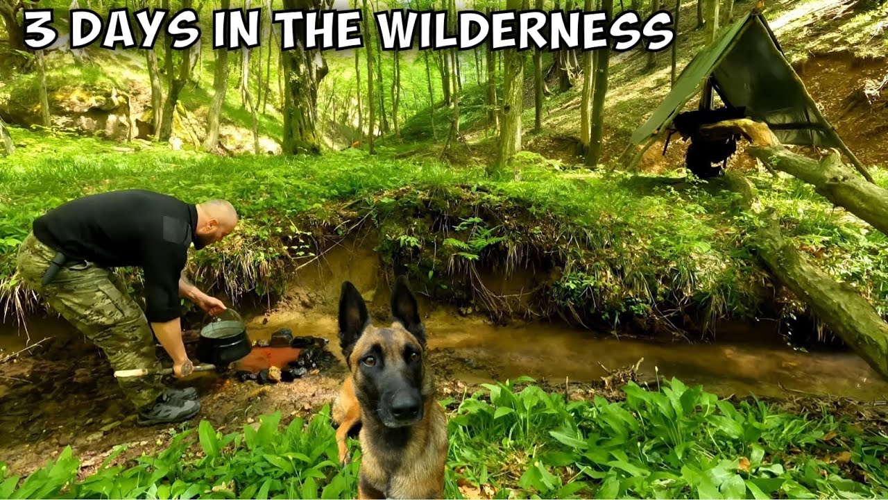 3 Days Camping in the Wilderness, Floating Bushcraft Bed, Snail Hunting, Survival Skills, ASMR