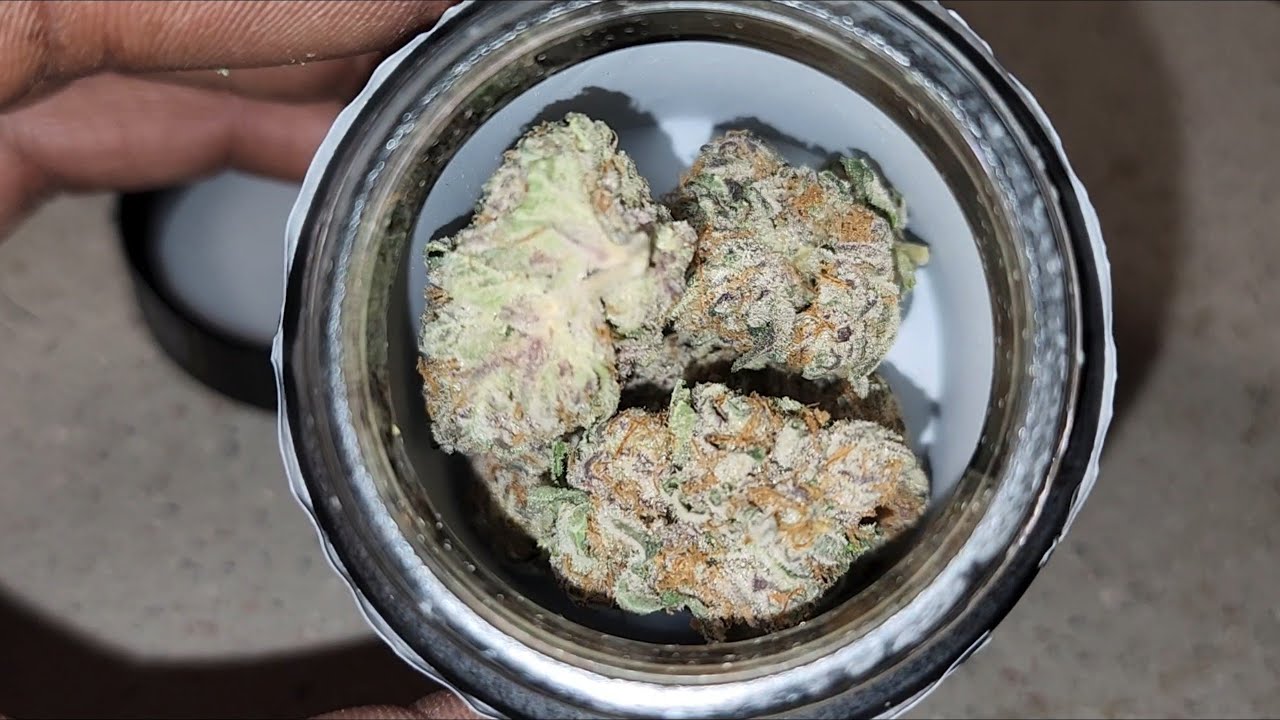 Top Shelf 