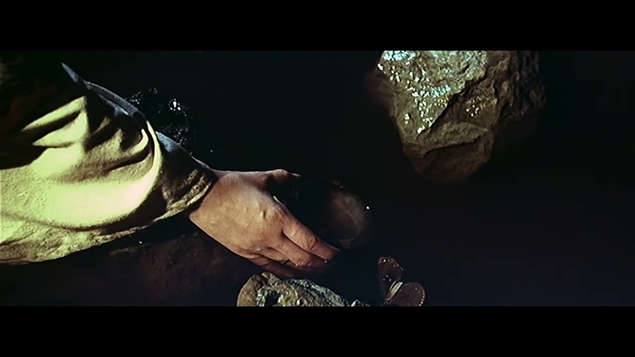 The Butterfly Murders (1979)