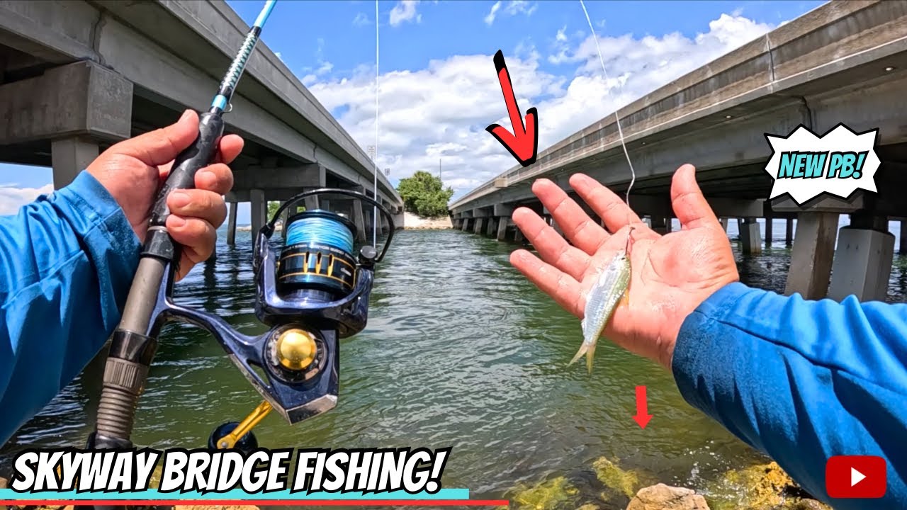 2 DAYS fishing ROADSIDE around the SKYWAY BRIDGE! *Florida Saltwater Fishing*
