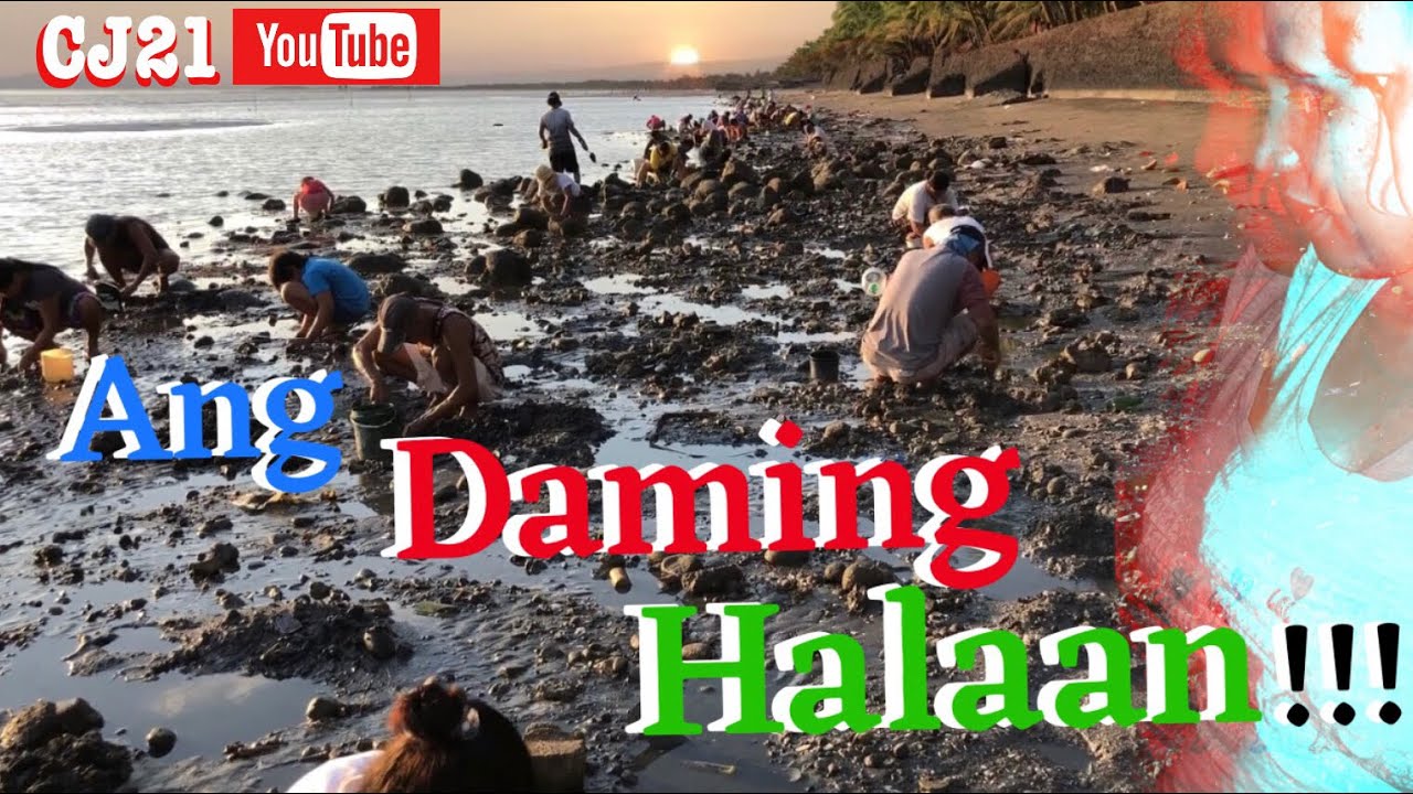 PAANO KUMUHA NG HALAAN (SobrangDami)