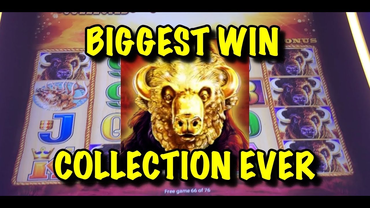 🐃🐃BUFFALO GOLD SLOT MACHINE JACKPOT HANDPAYS🐃🐃
