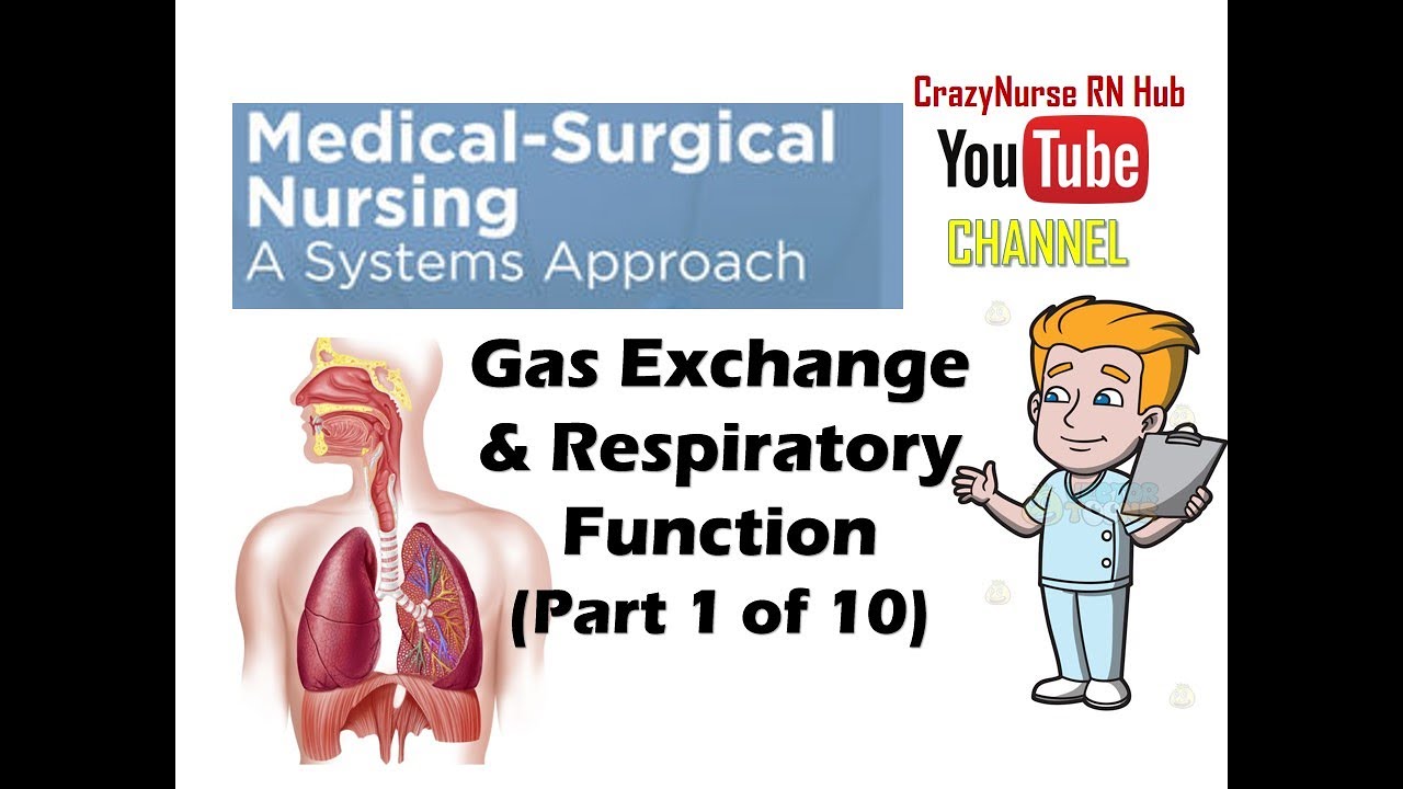 Med-Surg: Assessment of the Respiratory Function Part 1 of 2
