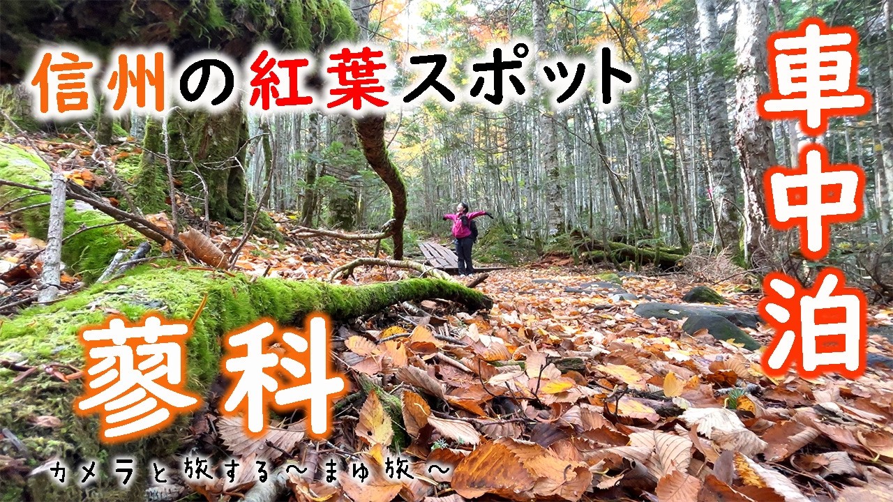 【車中泊】信州の紅葉スタート！のんびり紅葉巡りへ
