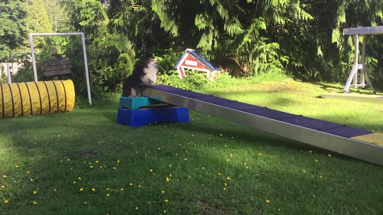 Running Contact Agility Training