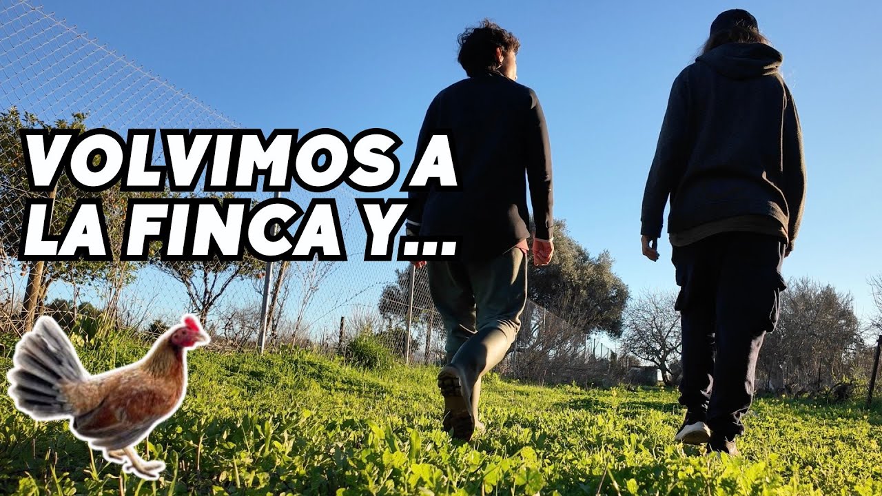 ⚠️La FINCA queda incomunicada y un NUEVO ANIMAL aparece de repente. Vlog271