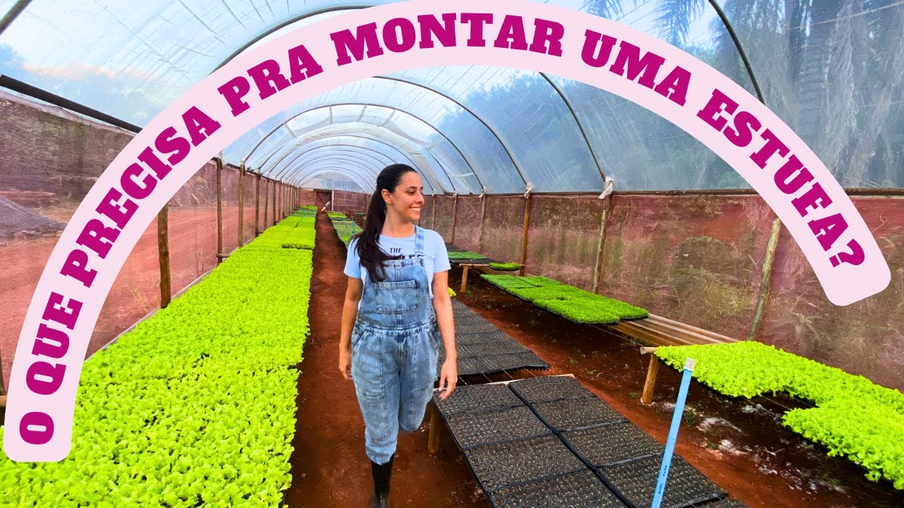 NOSSA ESTUFA PARA MUDAS | Mostrando tudo