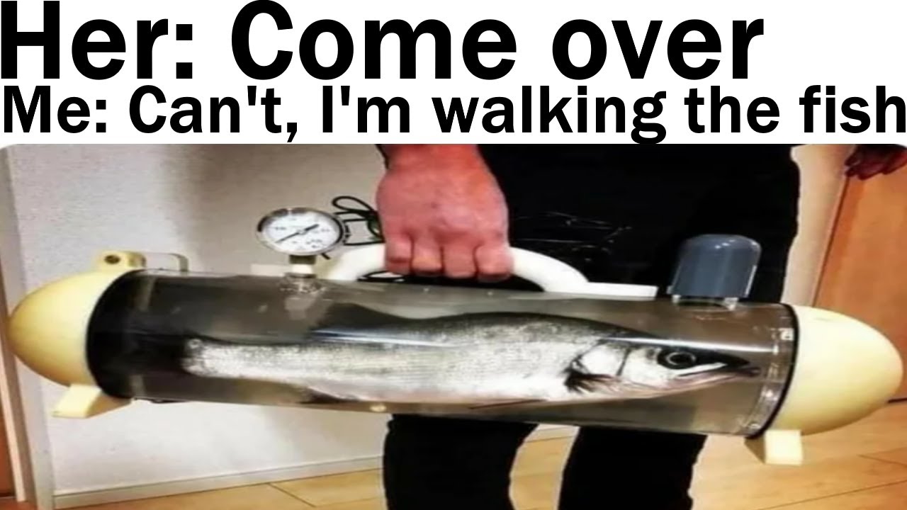 Memes That Make You Say Hol' Up