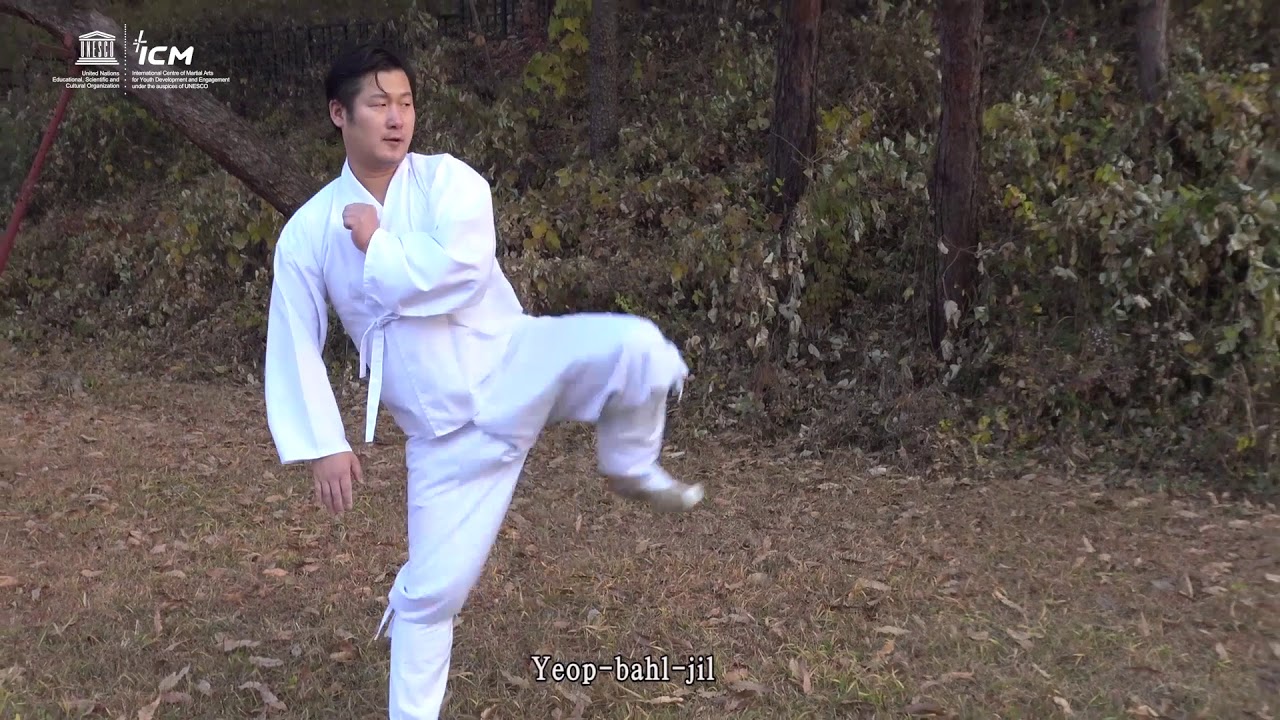 Taekkyeon tutorial(practice)