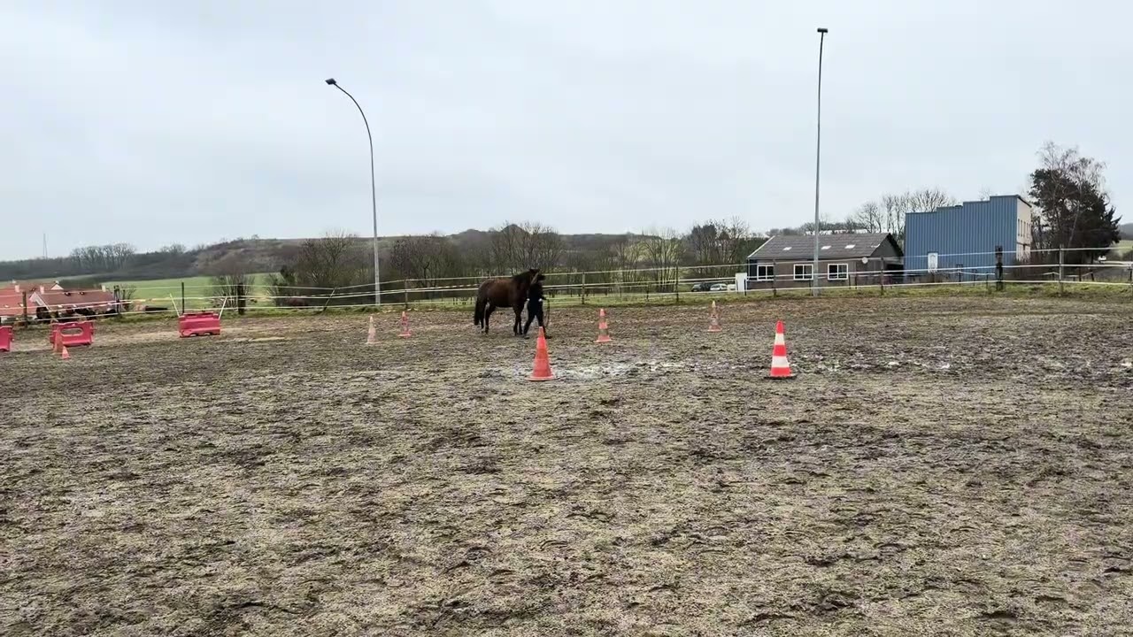 Equifeel virtuel 2026 CLUB 3 Manche 2