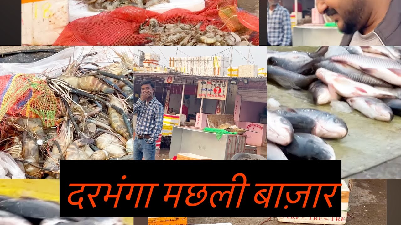 दरभंगा  मछली  बाज़ार #mithila#bihar#darbhanga#hindi#fish